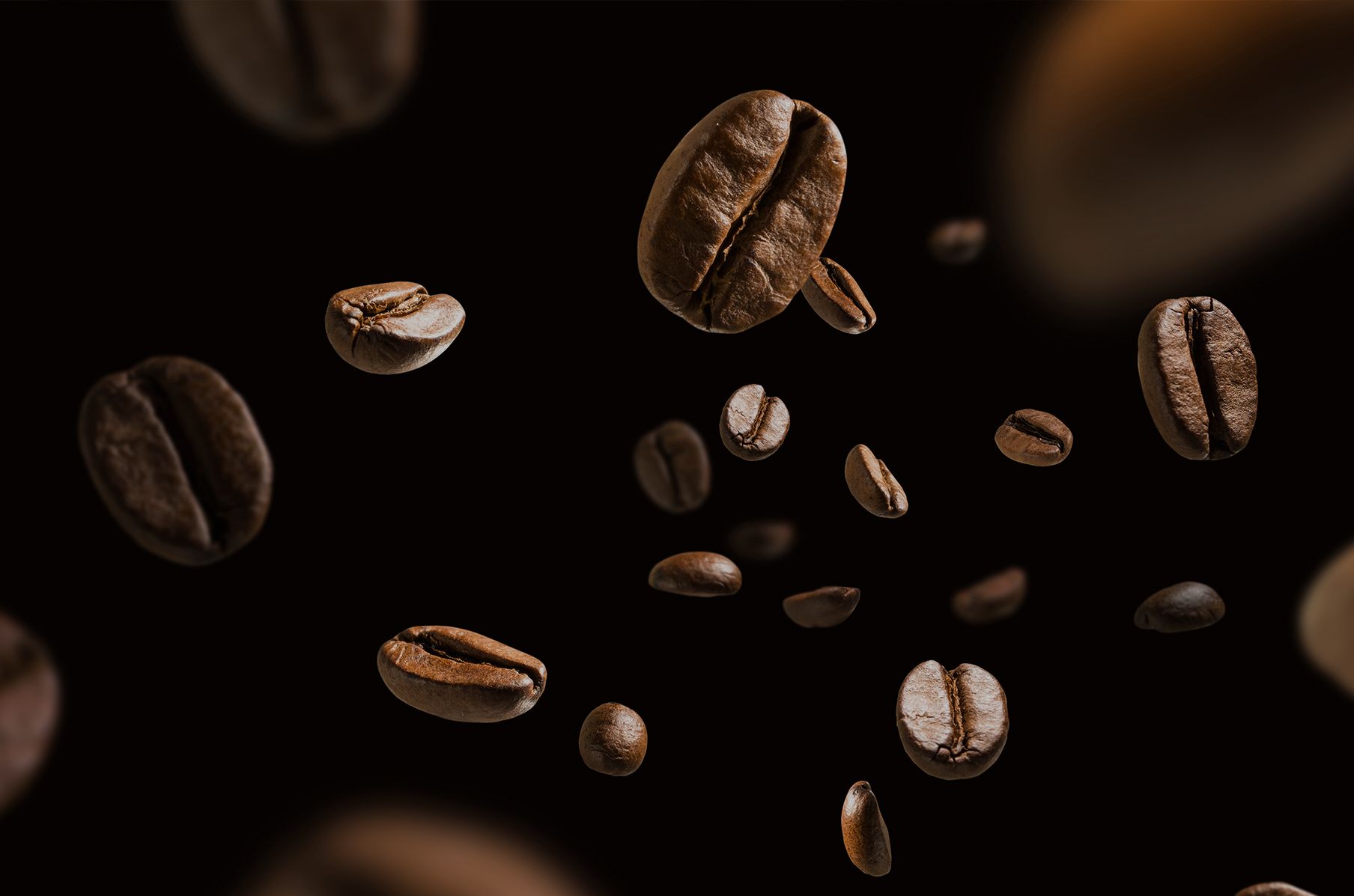 Lavazza Coffee Beans Story Lavazza Professional UK